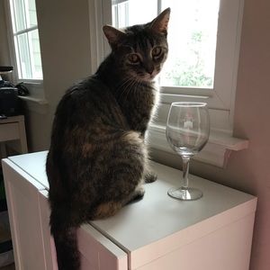 Meet your Posher, Petra